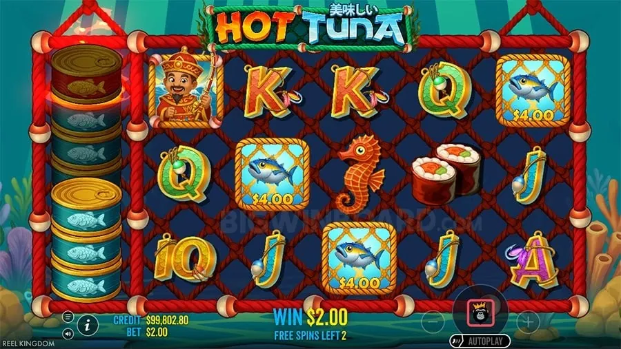 Arena Plus App Review